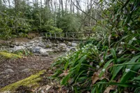 ace gap trail cades cove